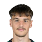 MEŠIĆ