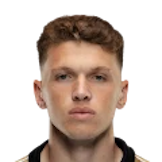 HENRIQUE ARREIOL